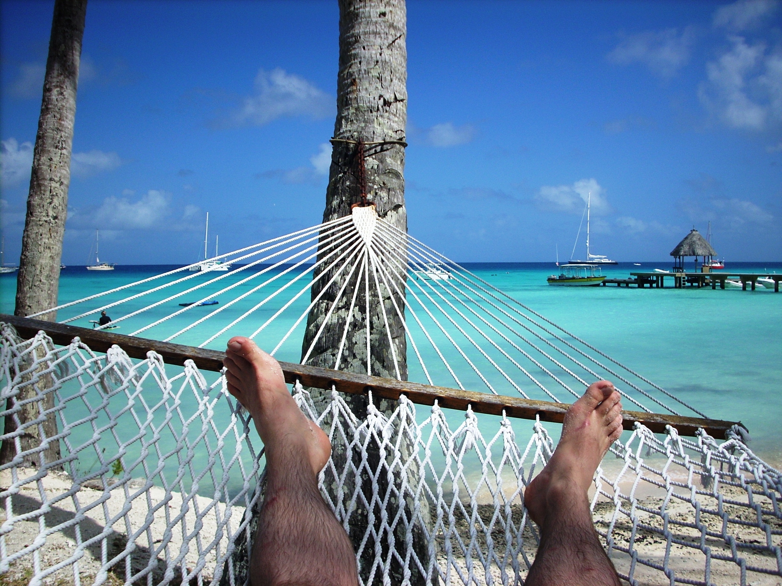 Feet of man lying on hammock